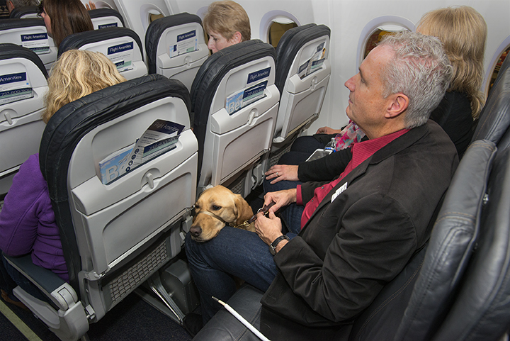 alaska airlines flying with dog